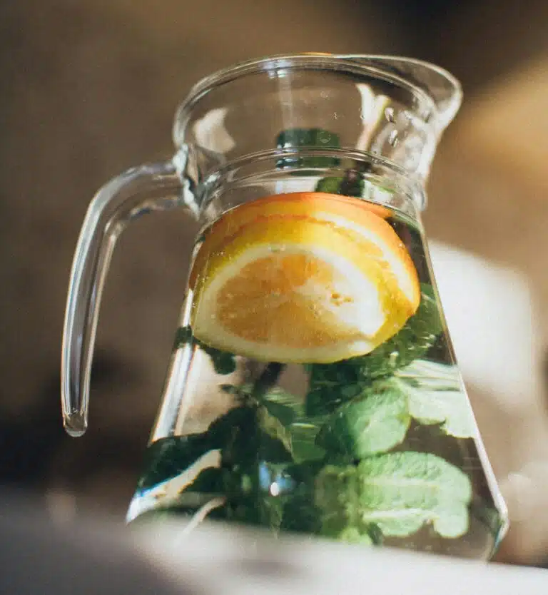 Water met munt en sinaasappel - kynd mynded